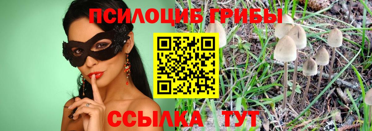 Галлюциногенные грибы мицелий Апатиты